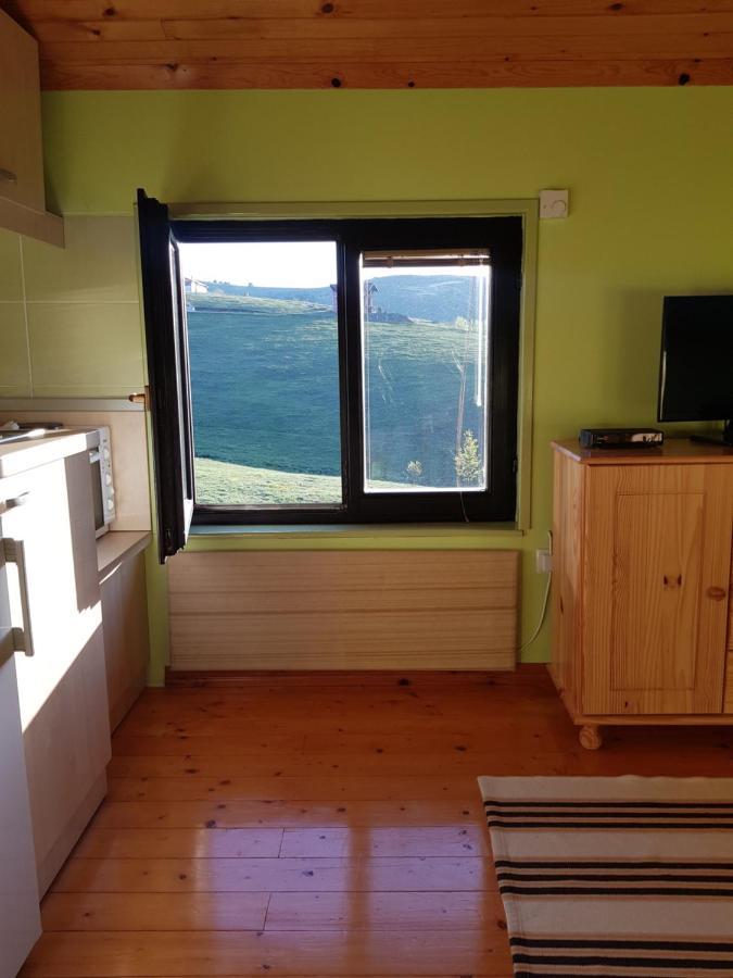 Apartments Hill House Zlatibor Bagian luar foto