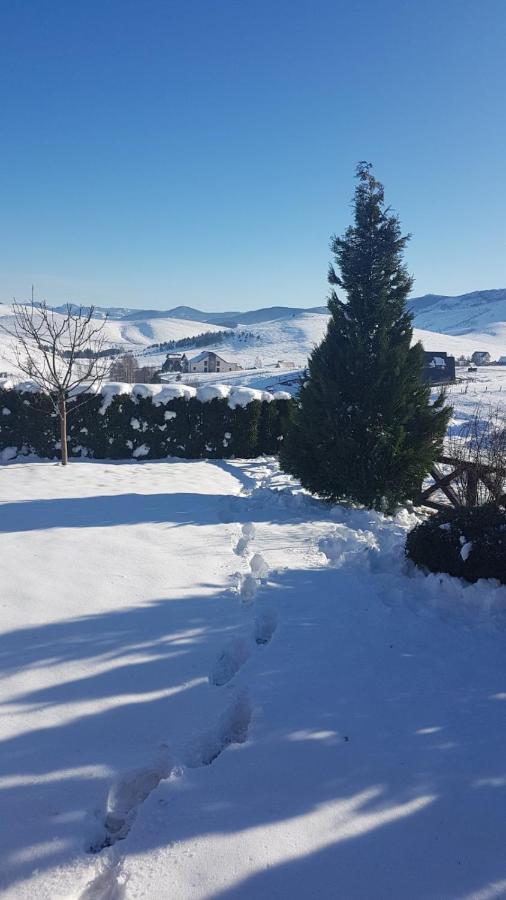 Apartments Hill House Zlatibor Bagian luar foto